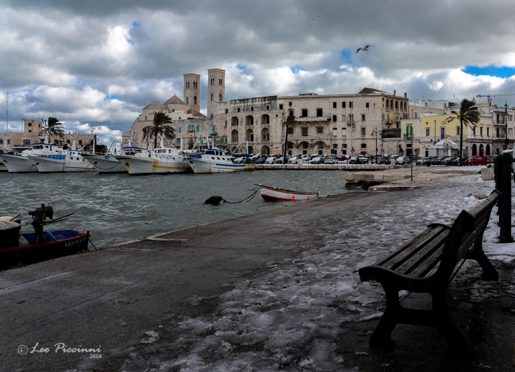 Molfetta - Thaw 1
