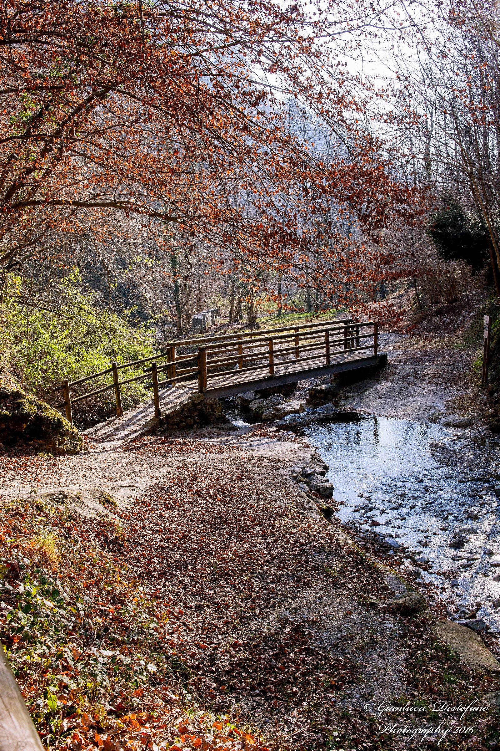 the bridge over the creek