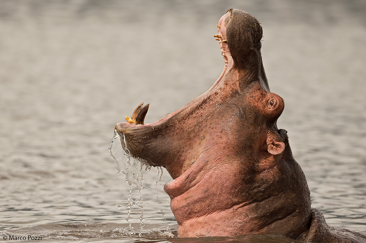 This pond is mine !!