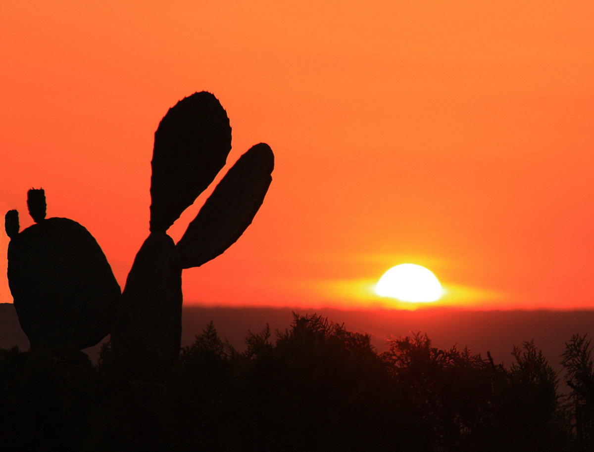 "Ciao sole a domani....."