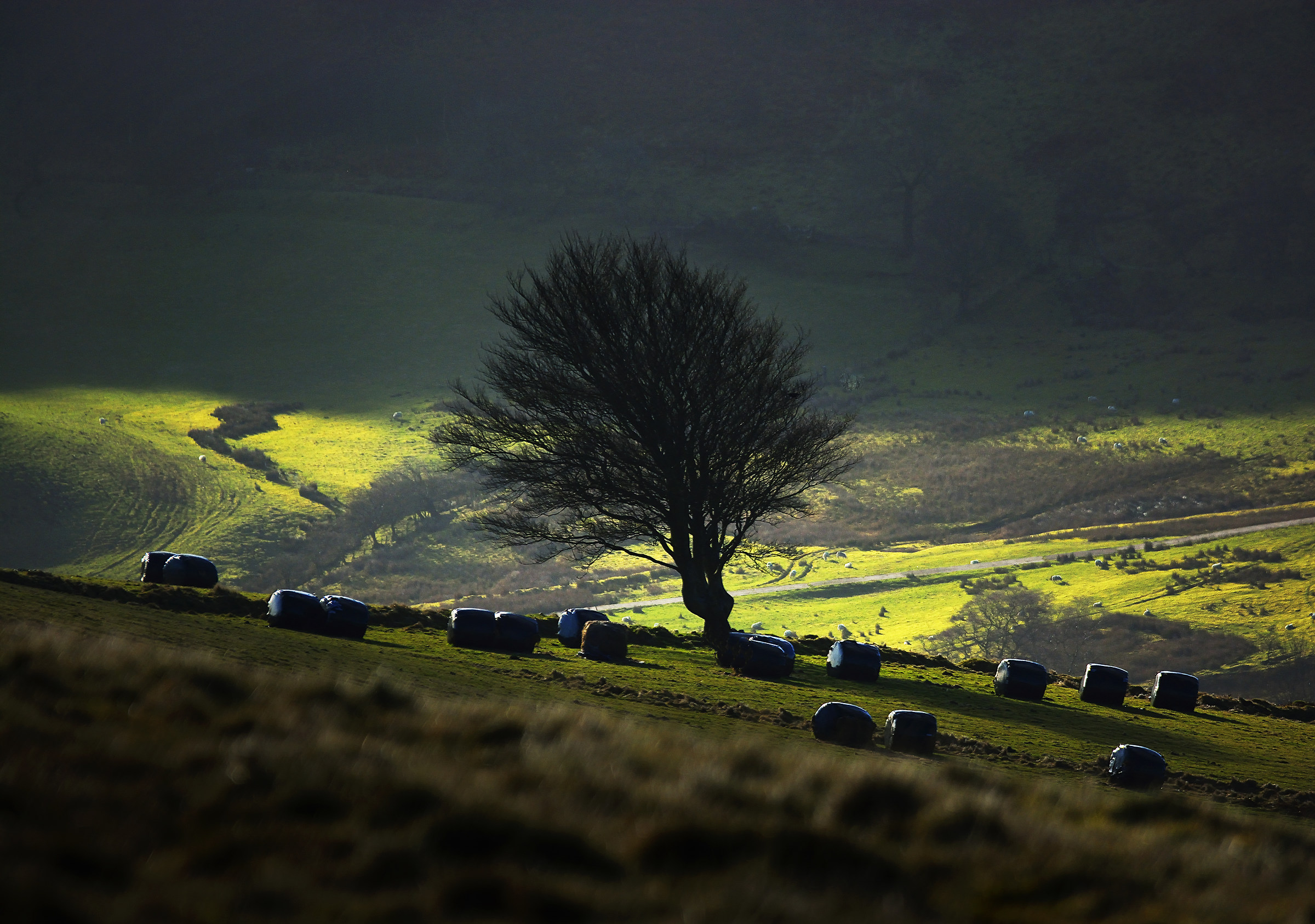 La Luce Far Down in the Valley