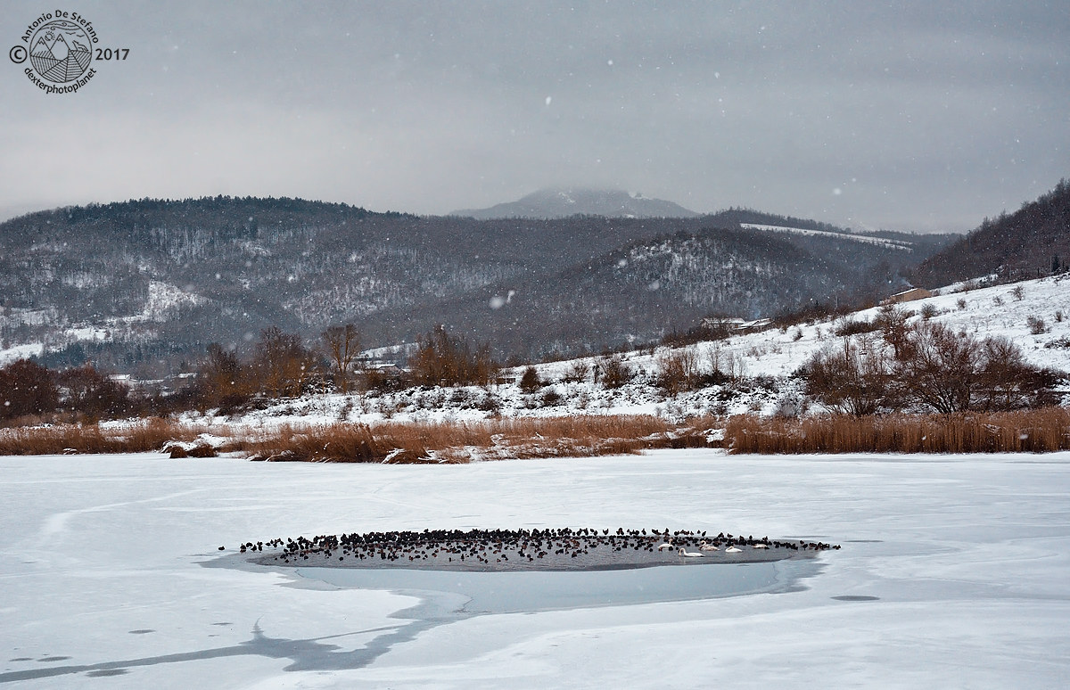Resistenza ad oltranza