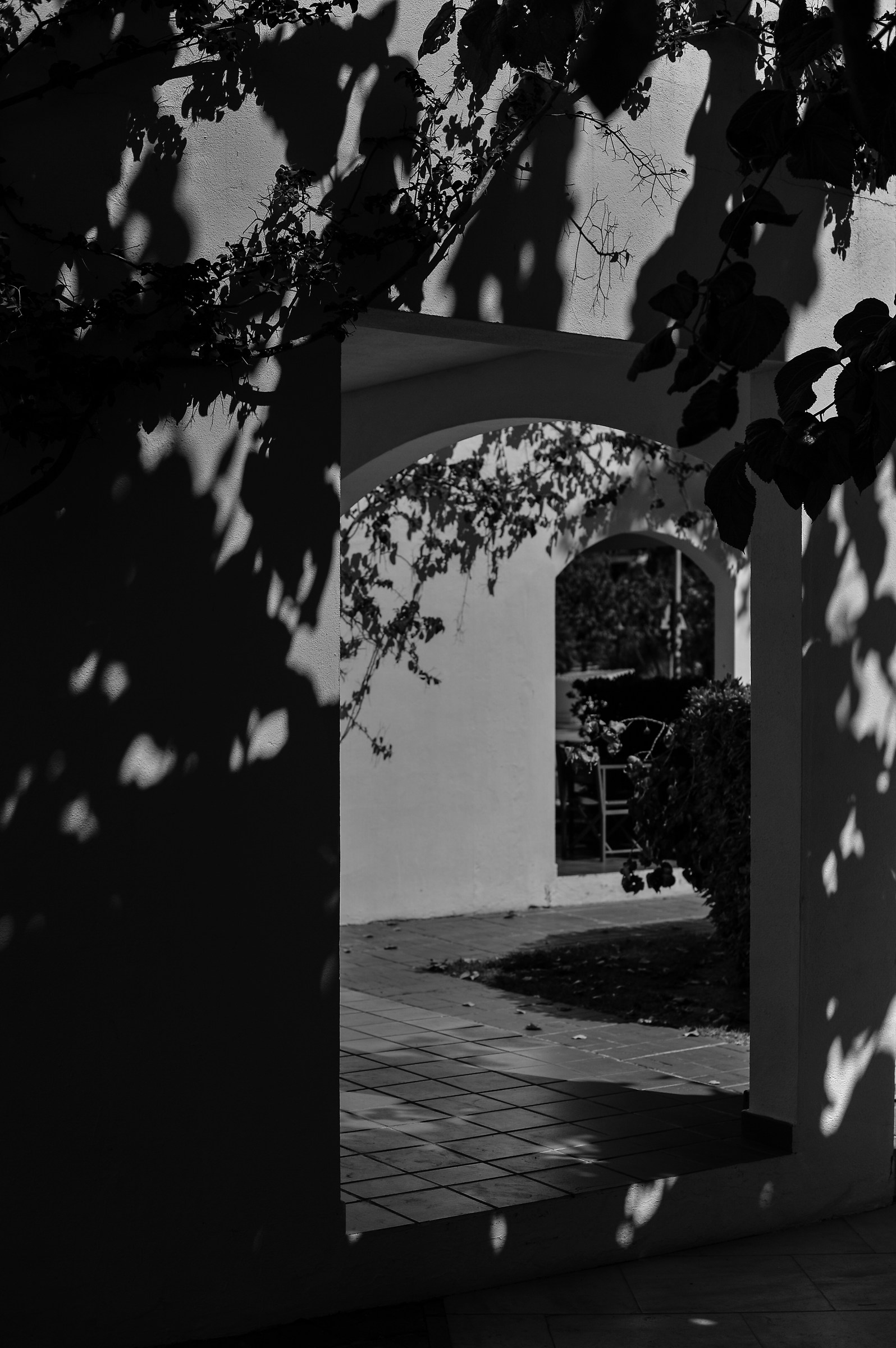 Ritratti di finestre perse