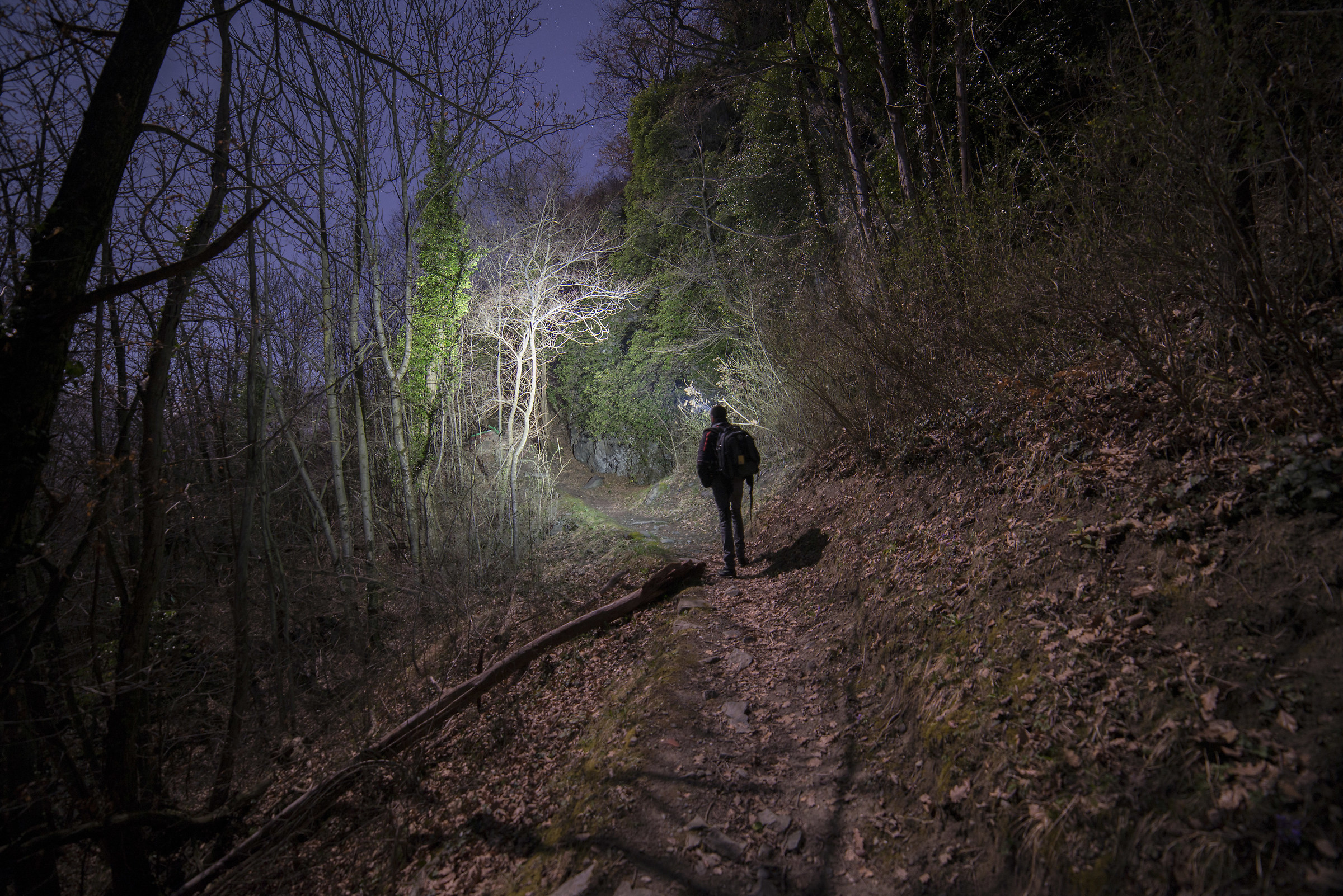 One night in the woods