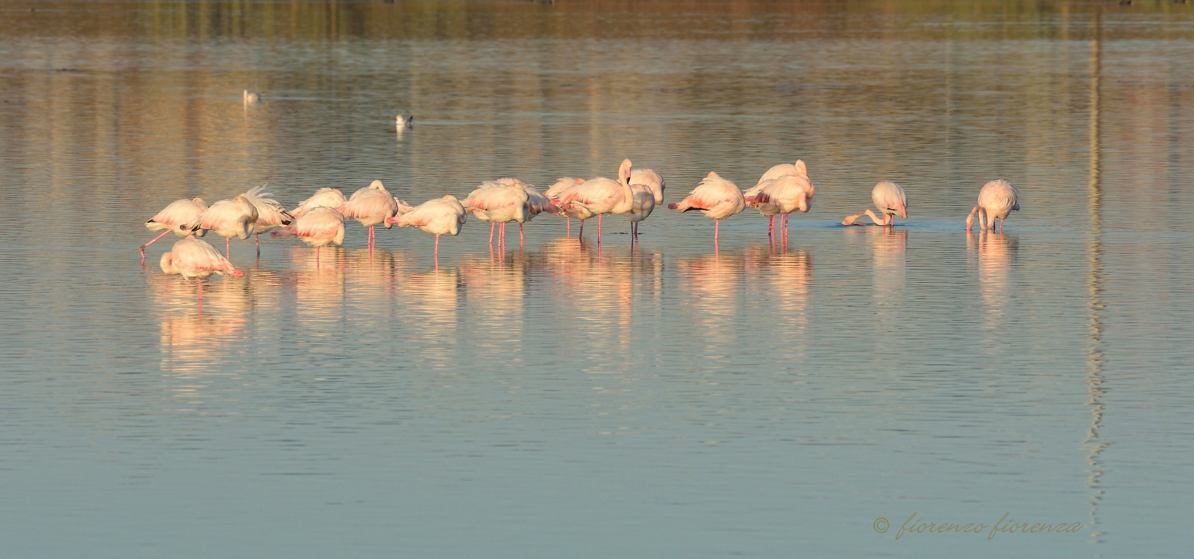 the first rays of sun