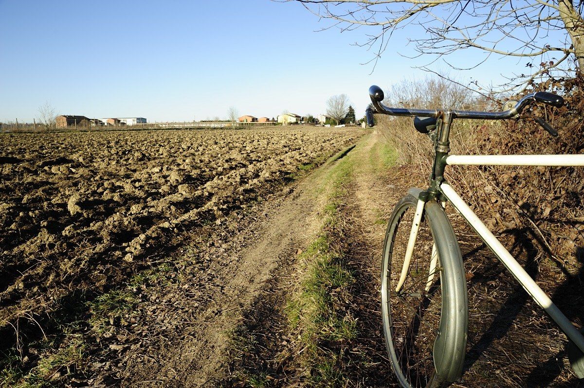 In the country with her.