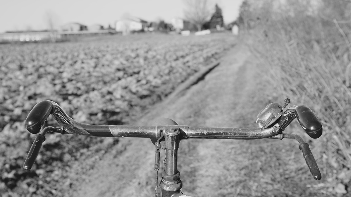 The campaign with her 1