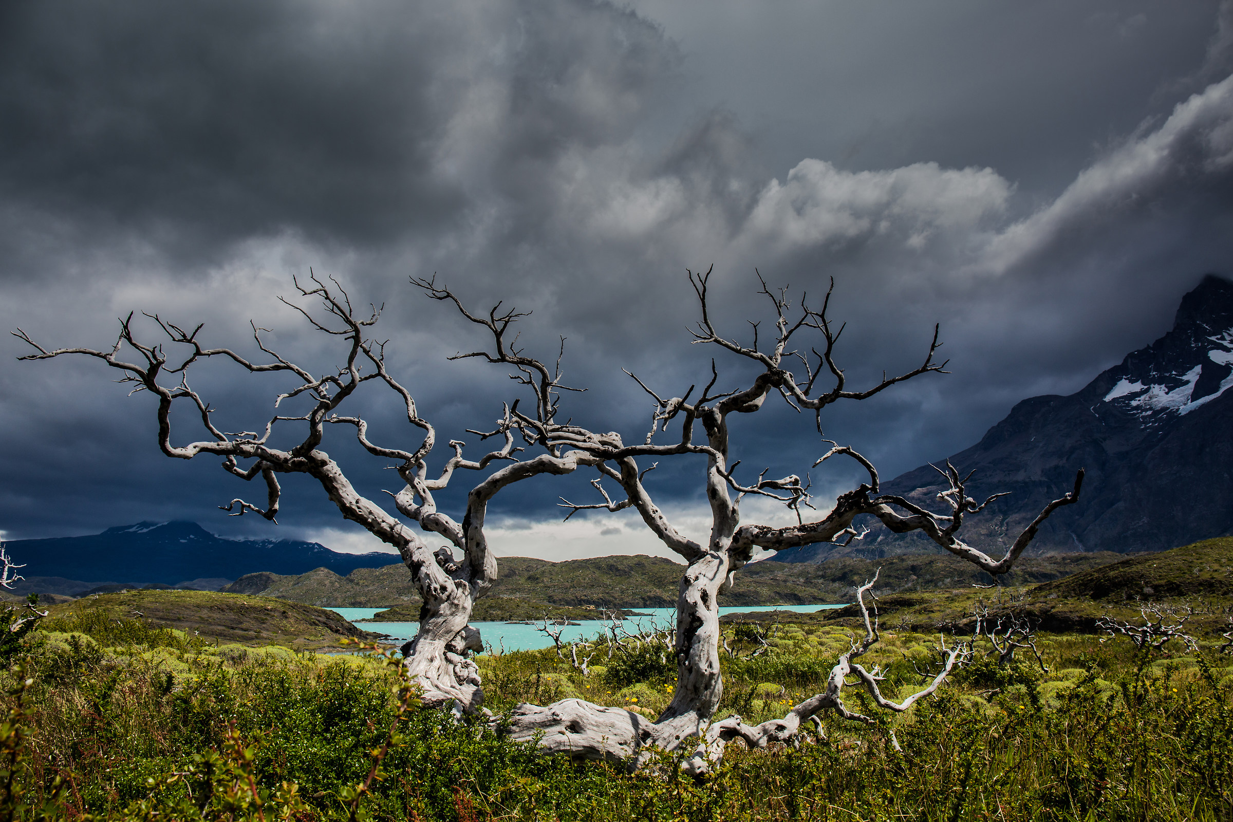 lights in Patagonia, Torres del Paine, Chile