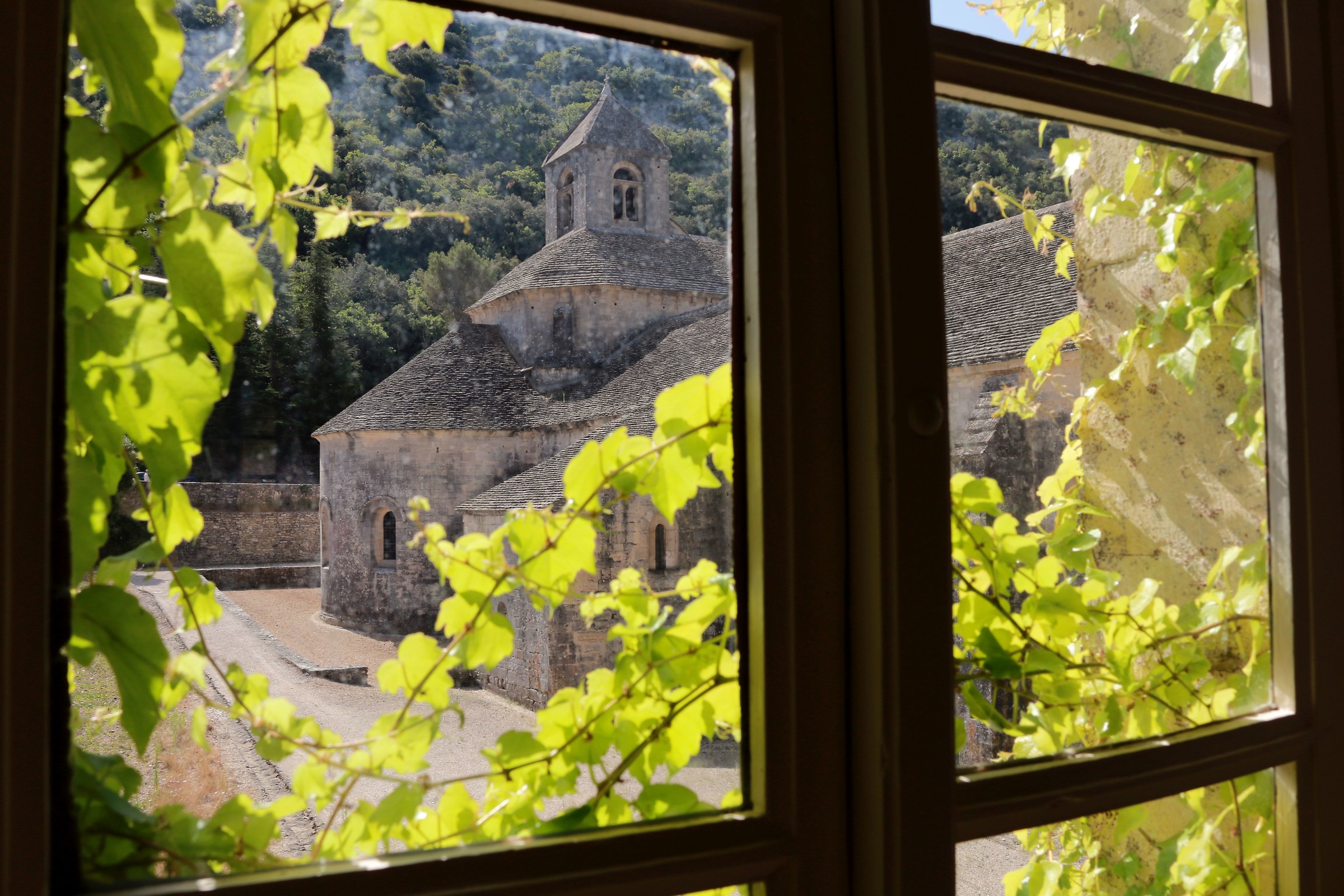 Abbazia di Sénanque, Provenza