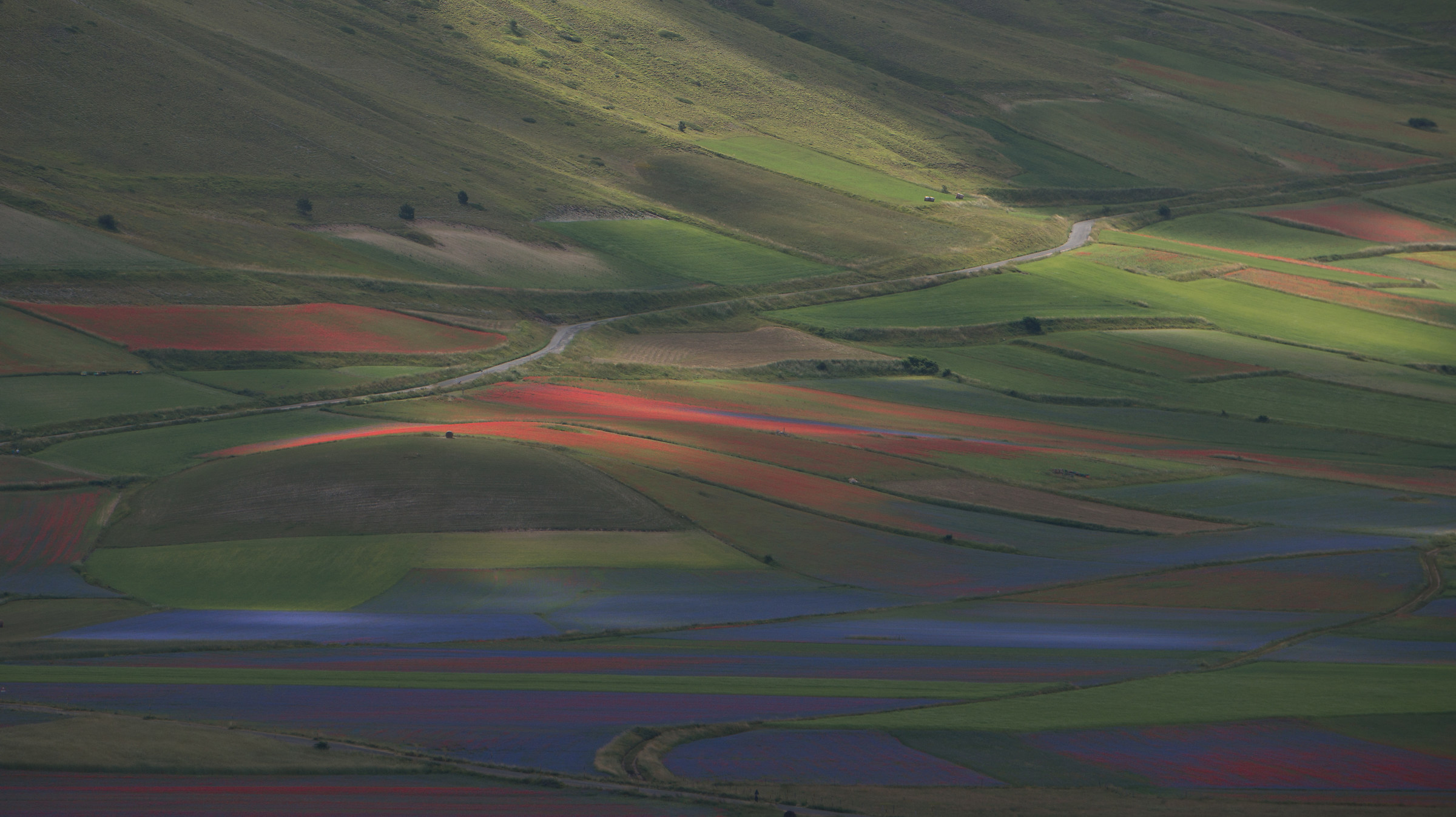 tribute to Castelluccio 2016