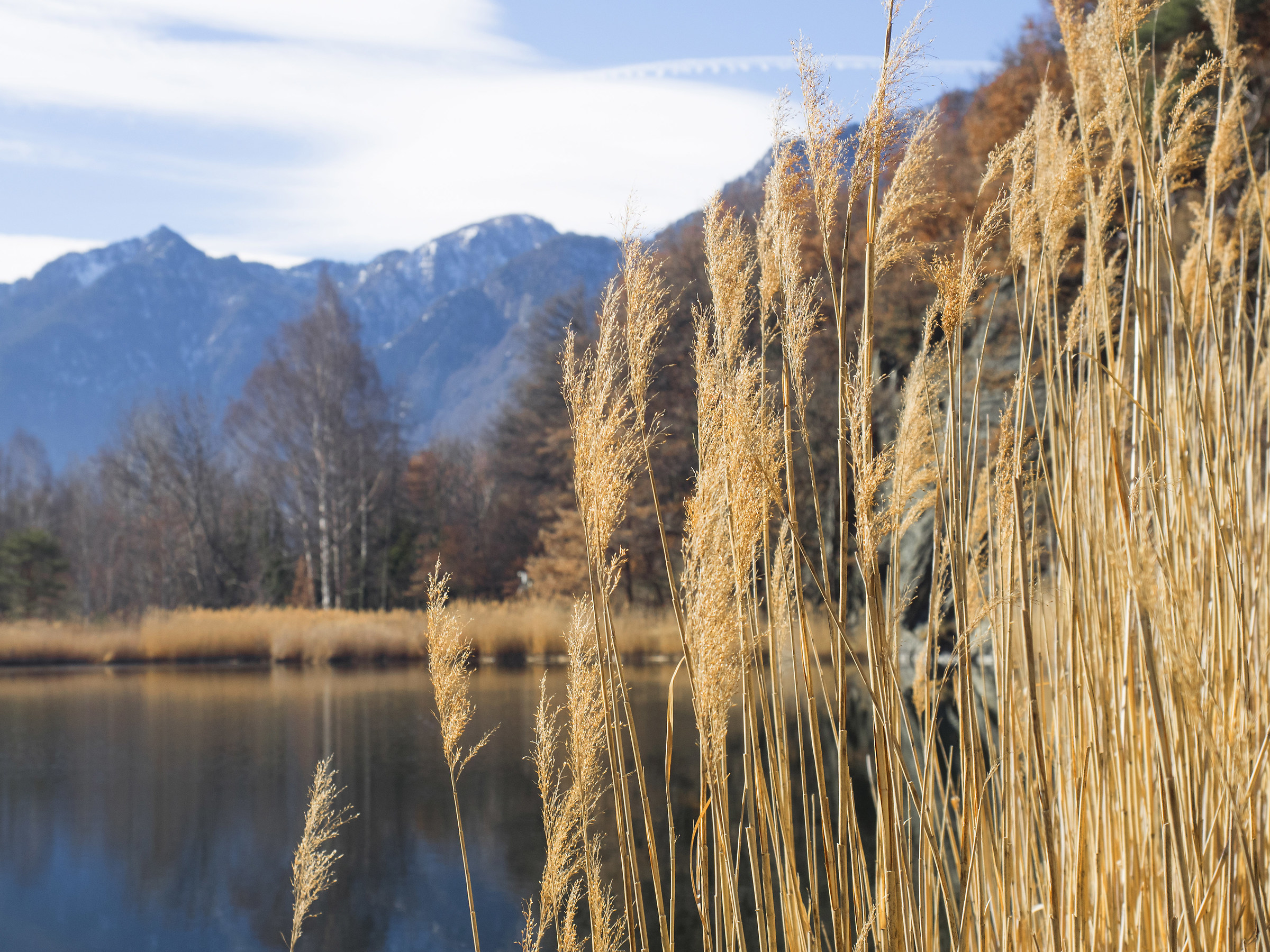 A day in the reserve