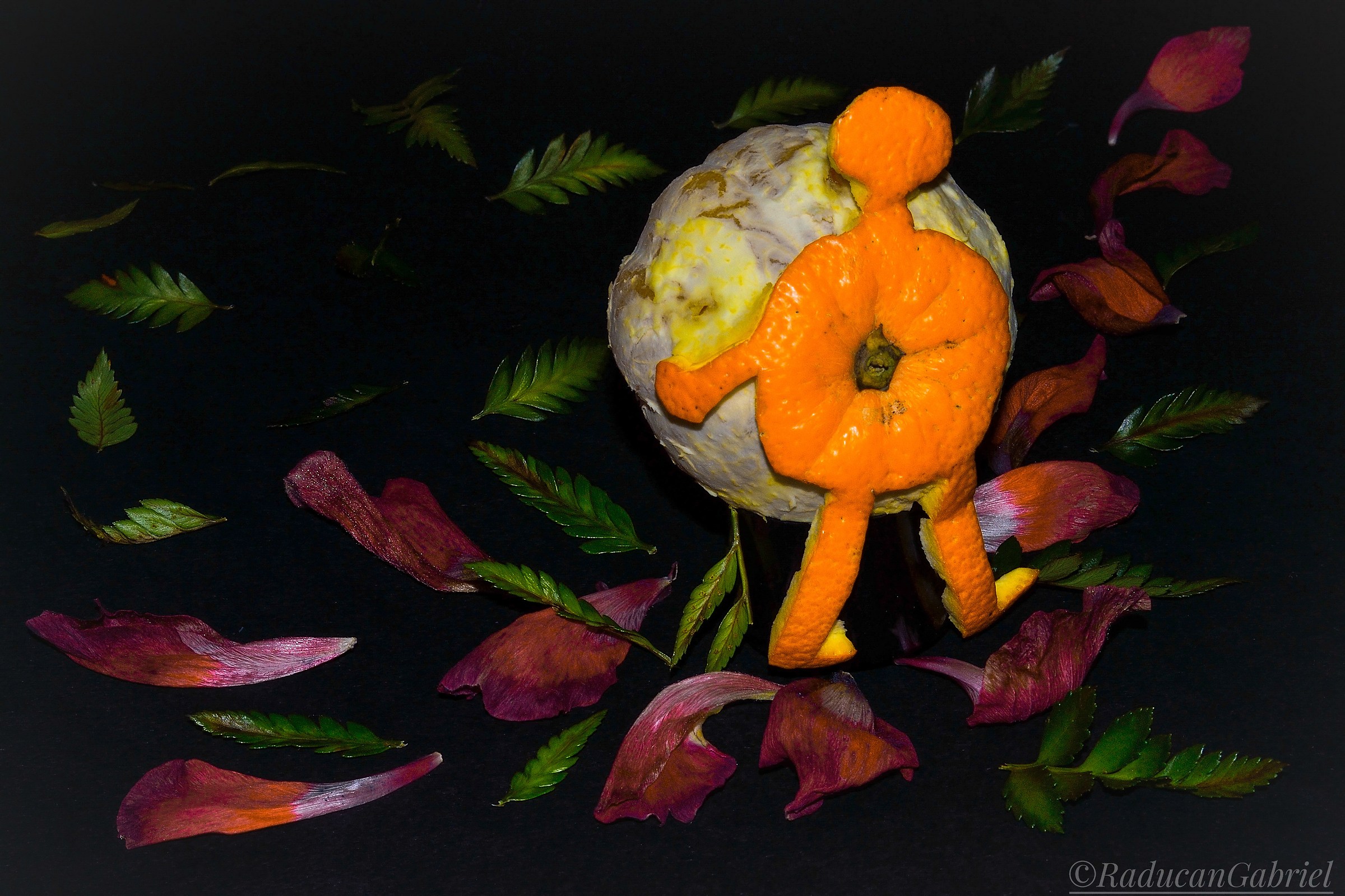 That's enough, I'm leaving ...