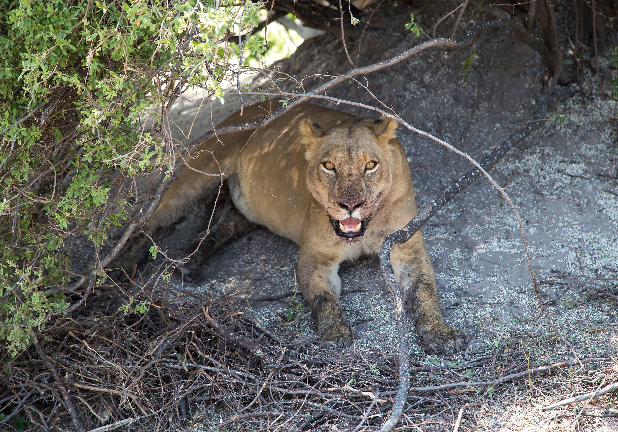 And you what do you want