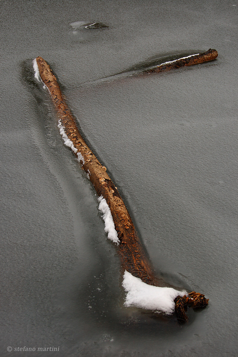 Galleggiando sul ghiaccio n.2