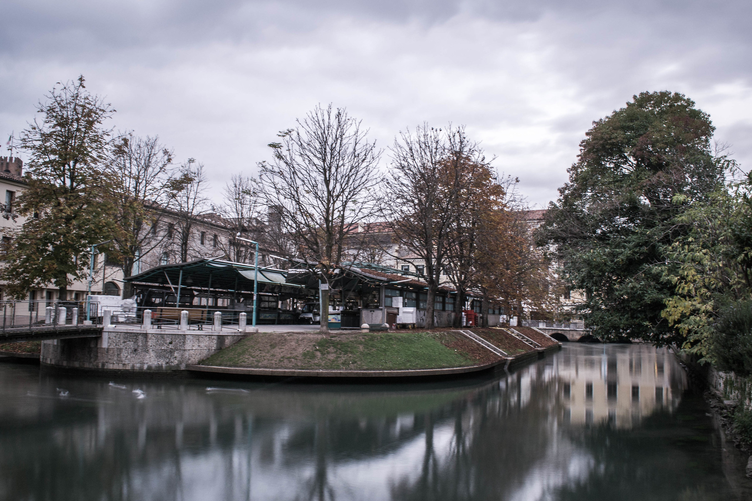 Trieste, Island of the Fish