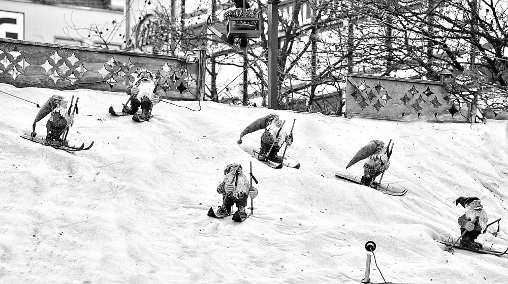 All skiing also gnomes