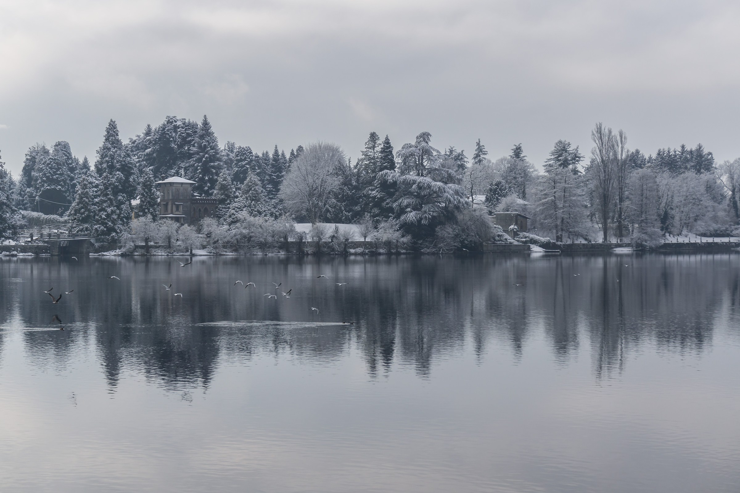 Sesto Calende, Viale Italia. Venerdì innevato 7
