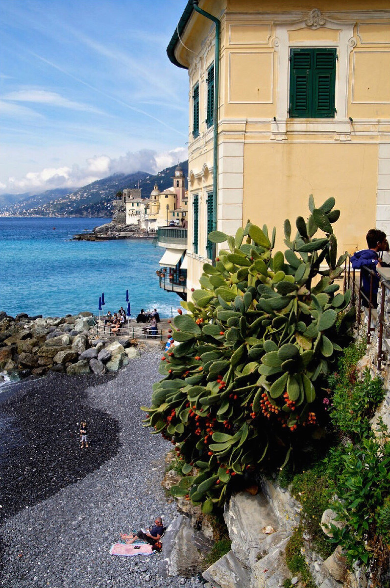 Relax in Camogli