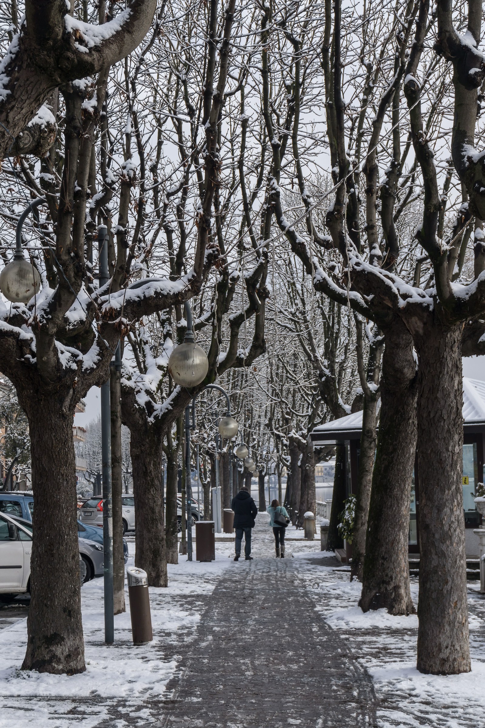 Venerdì innevato 16