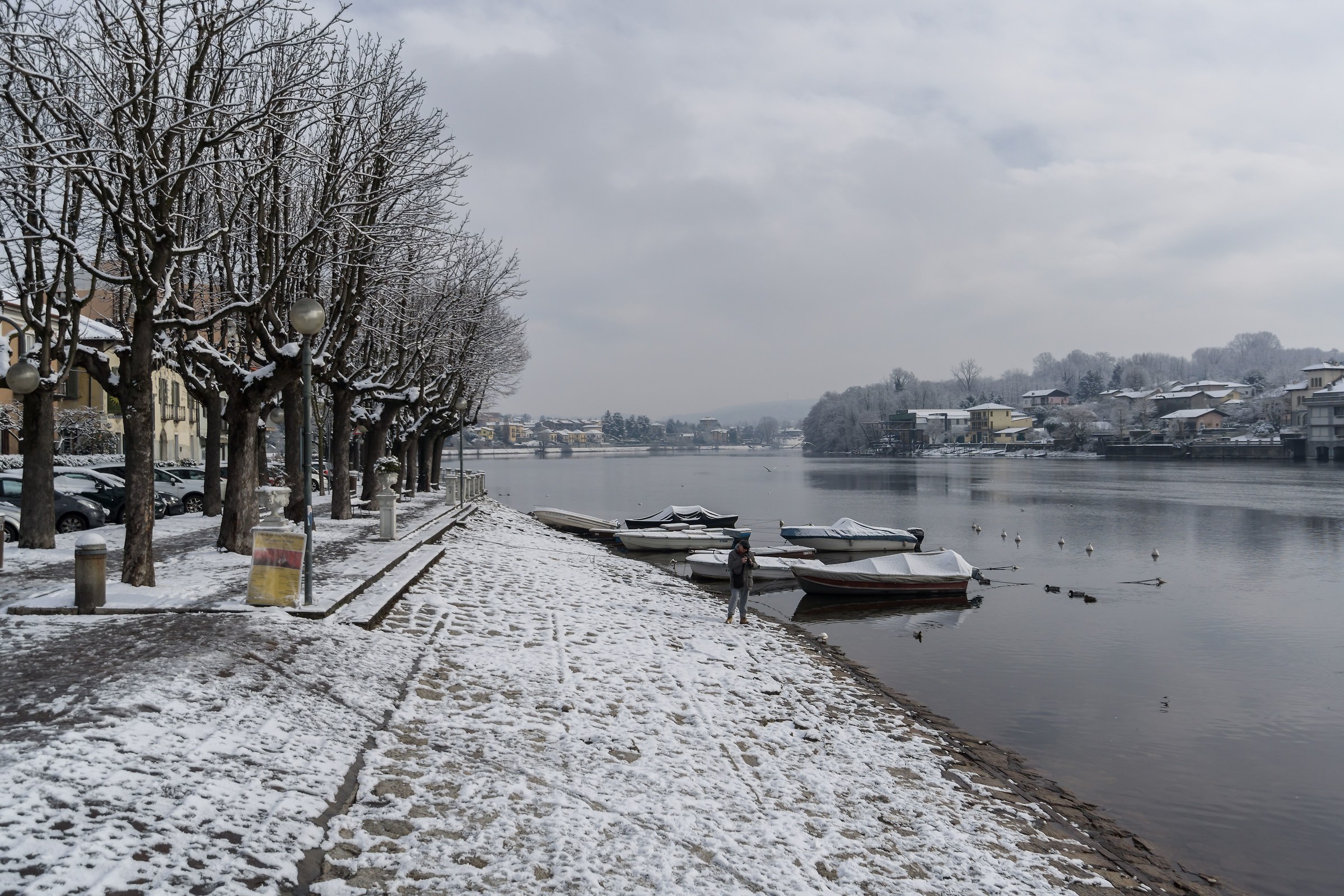 snowy Friday - photographed Photographer