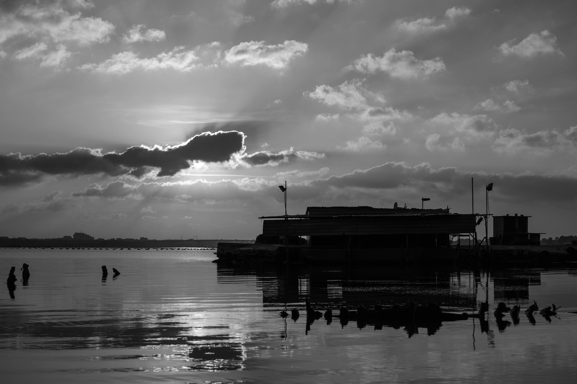 Shack Circummarpiccolo