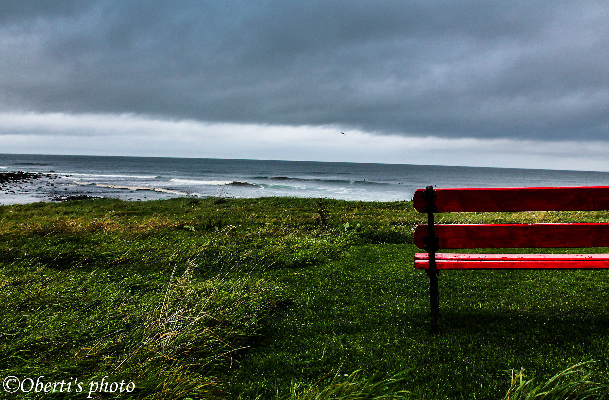 Bench by the sea