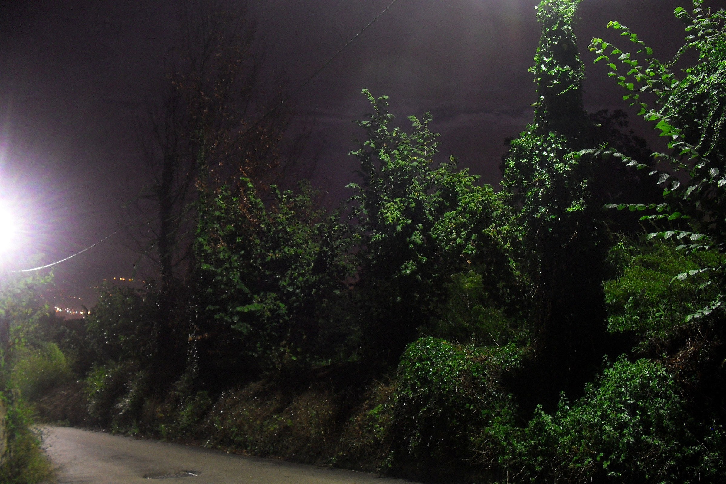 Natura notturna in Capriglia Irpina