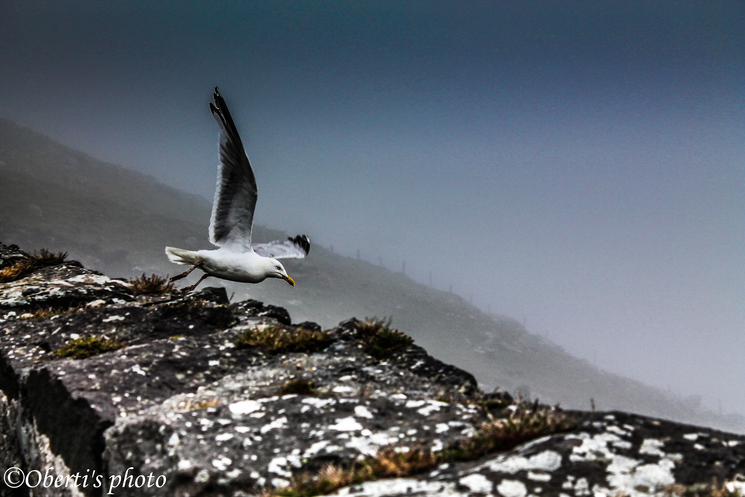 detaching the flight