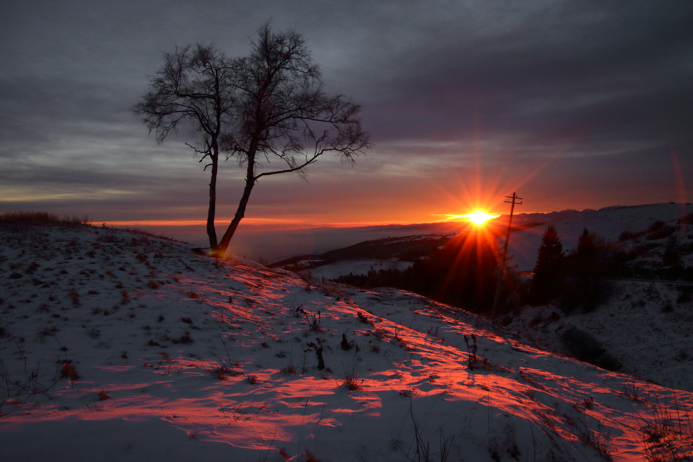 Moved that I take the sun