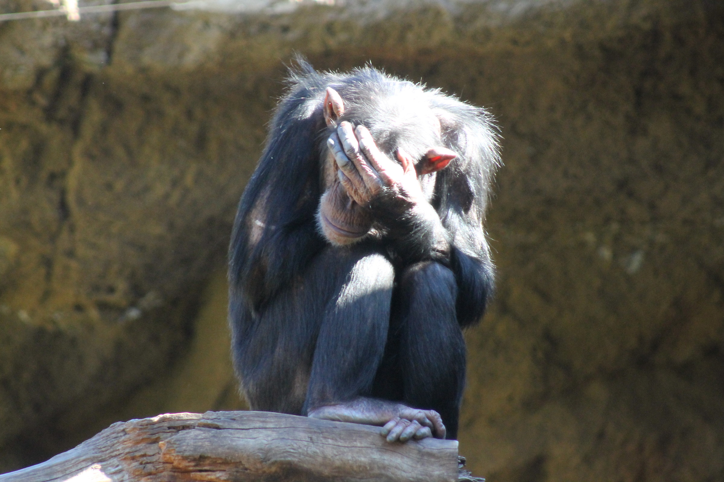 I can not believe it