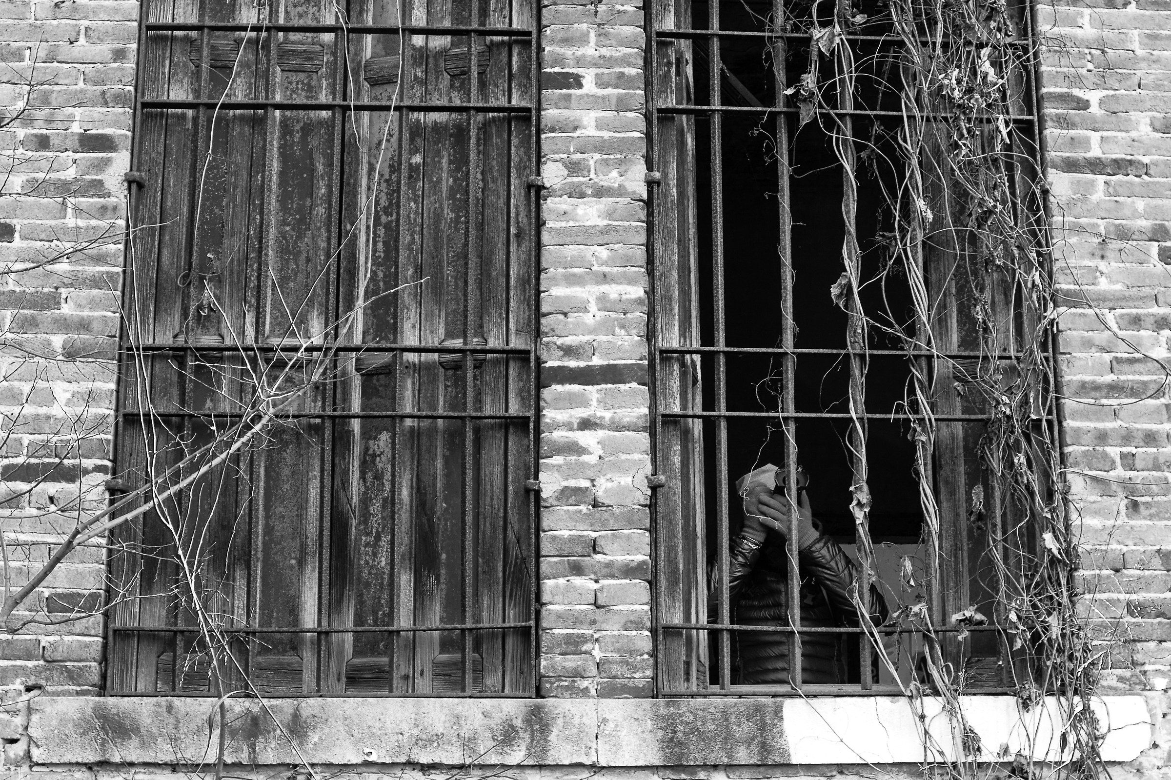 mi sento osservato...