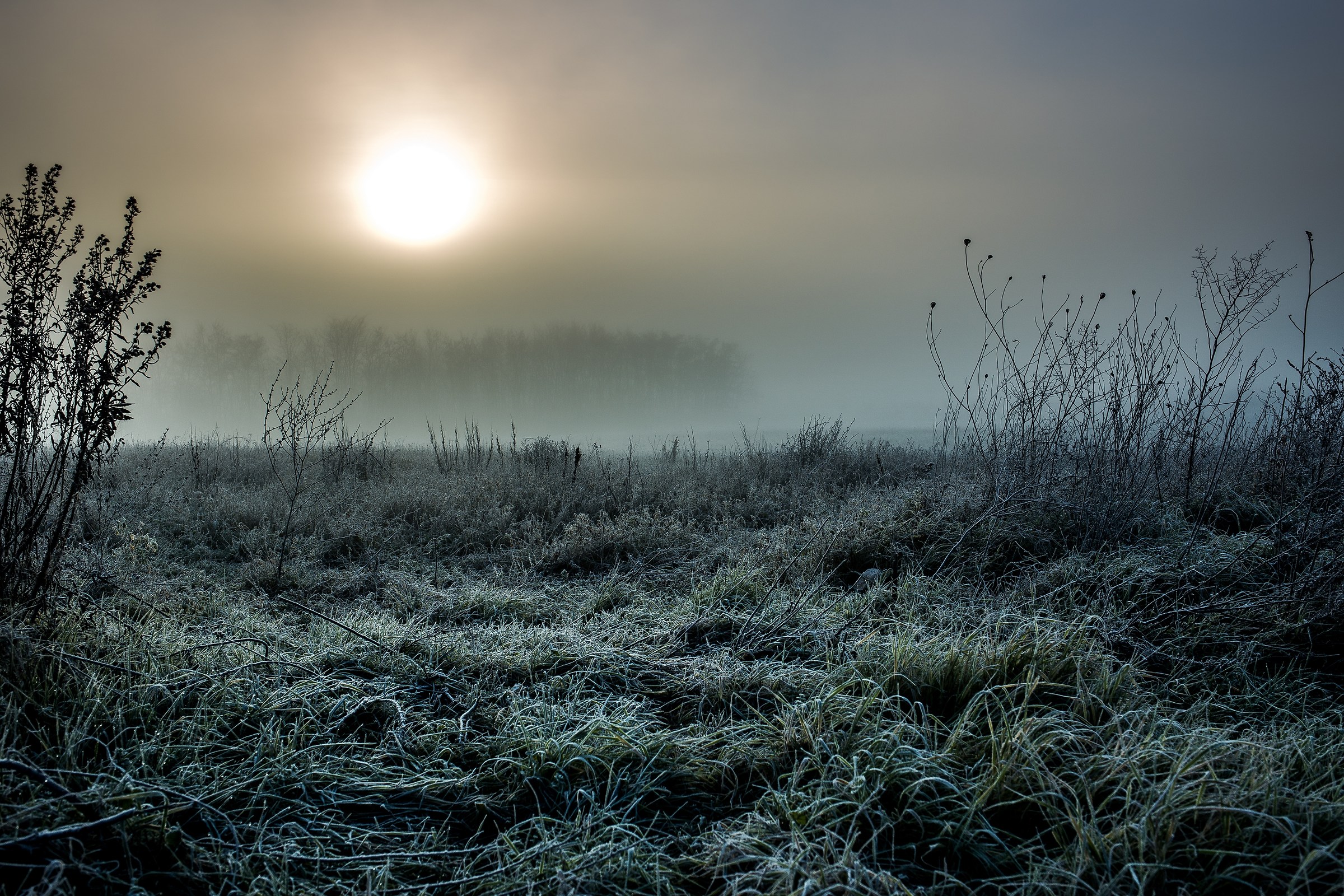 A frosty dawn