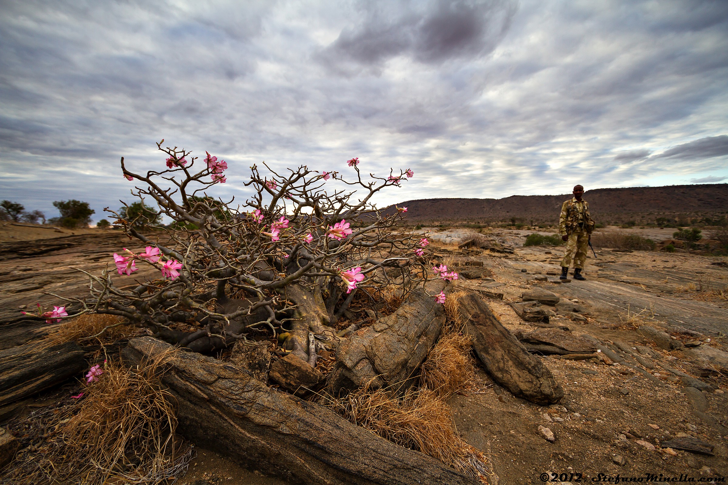 Tomba di un Cacciatore con Soldato