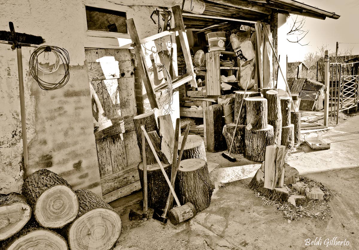 The house of the woodcutter