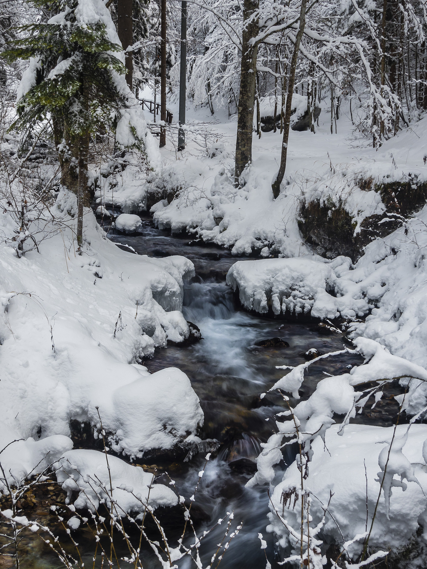 Stream in winter