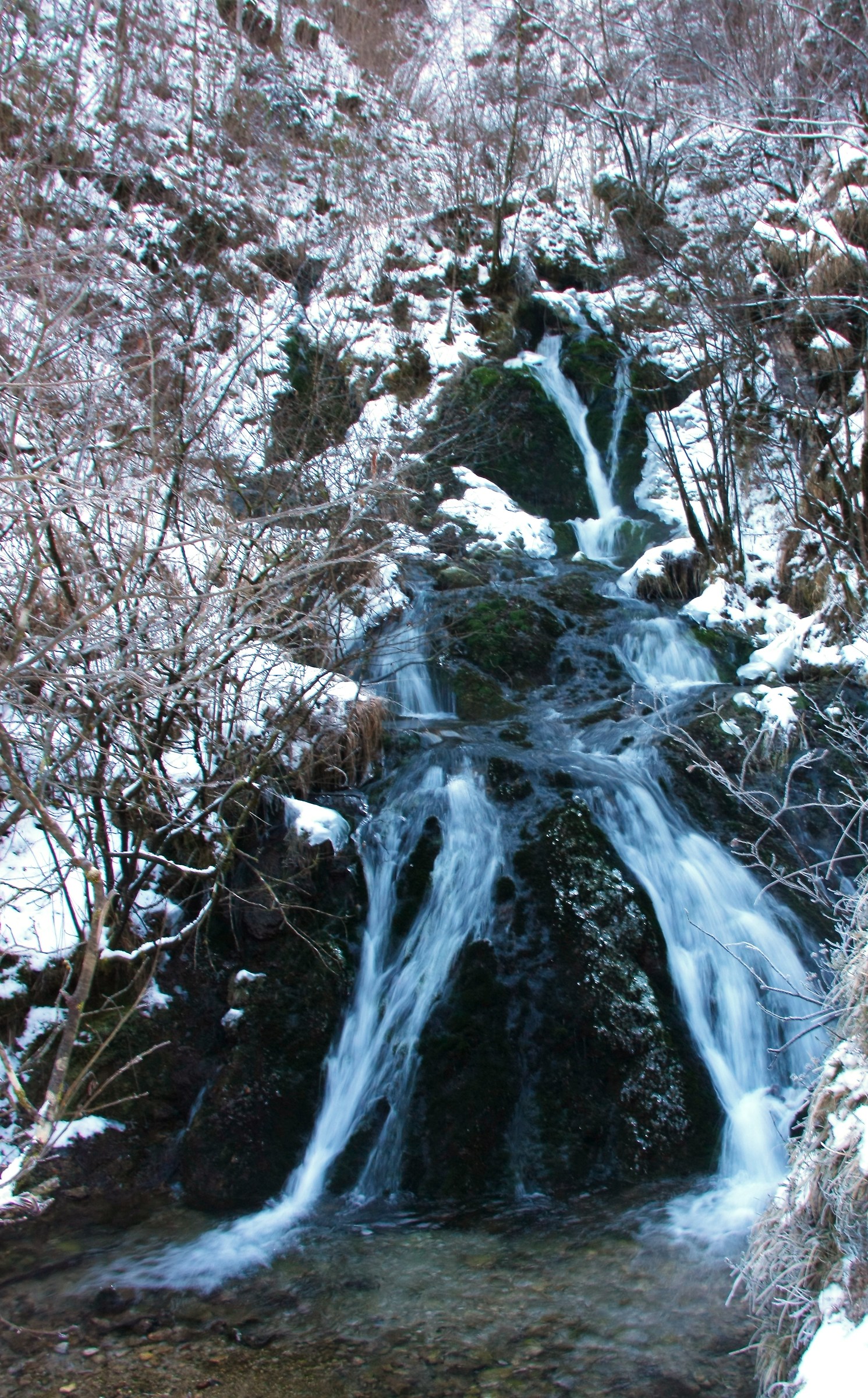 Cascate