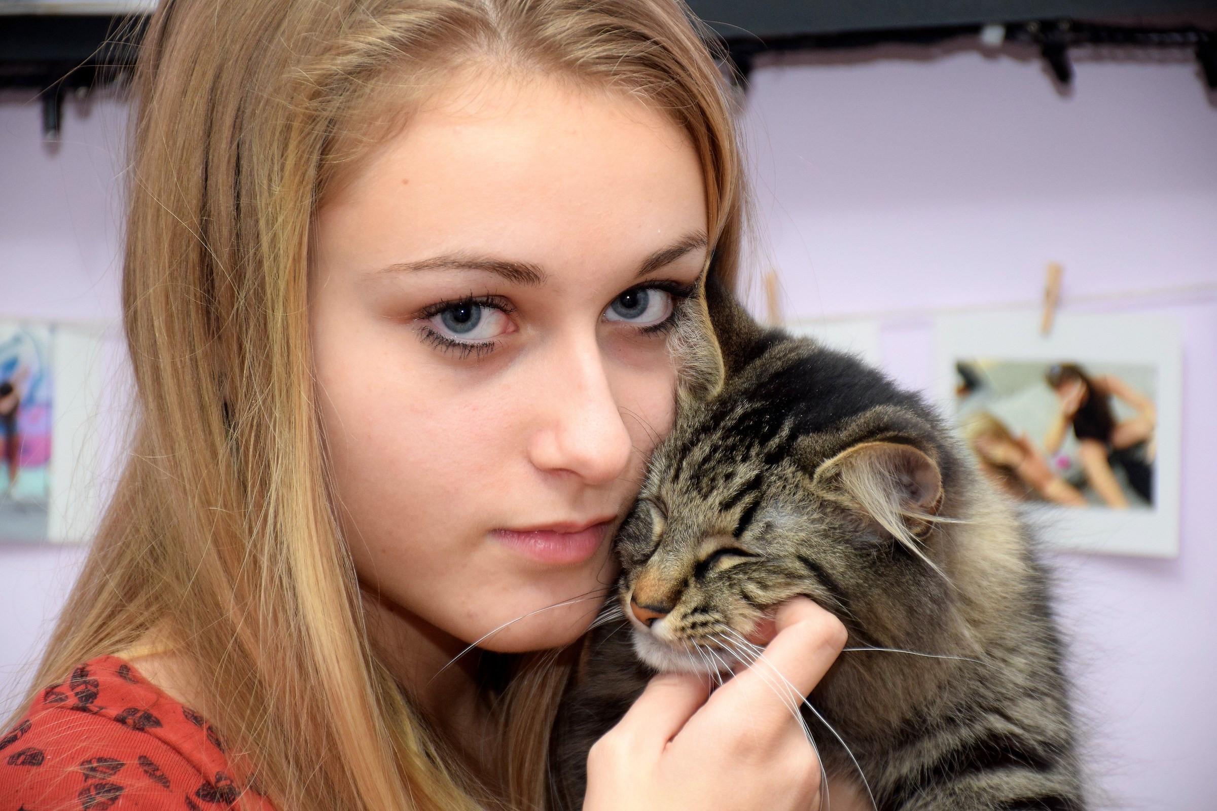 the beauty and the Beast