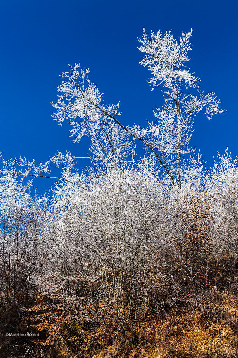 Galaverna alle Piane