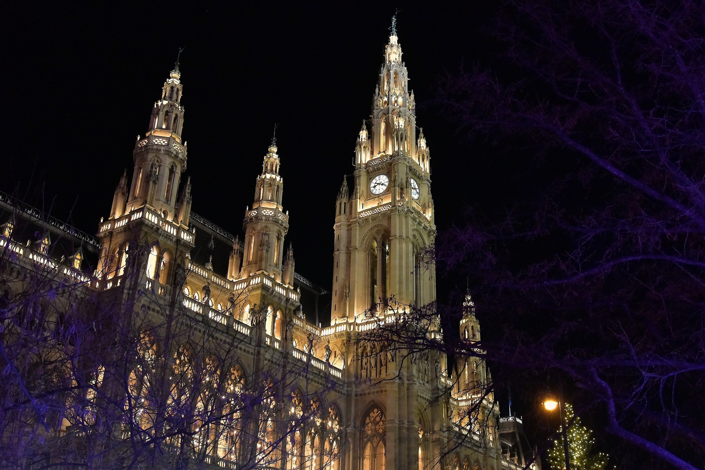Rathaus Vienna