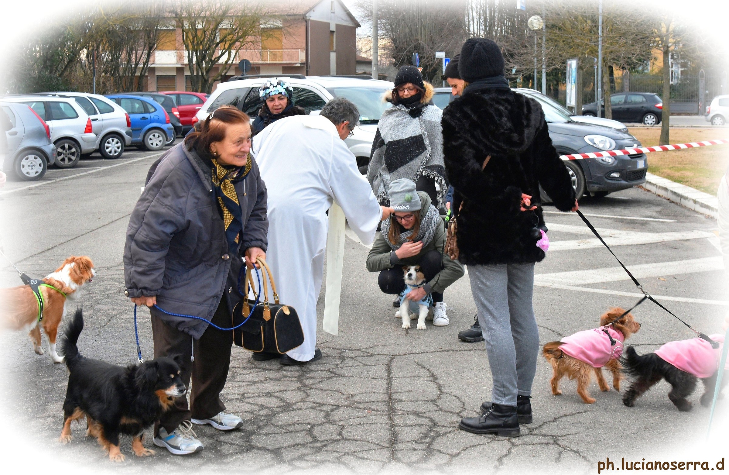 Benedizione degli animali