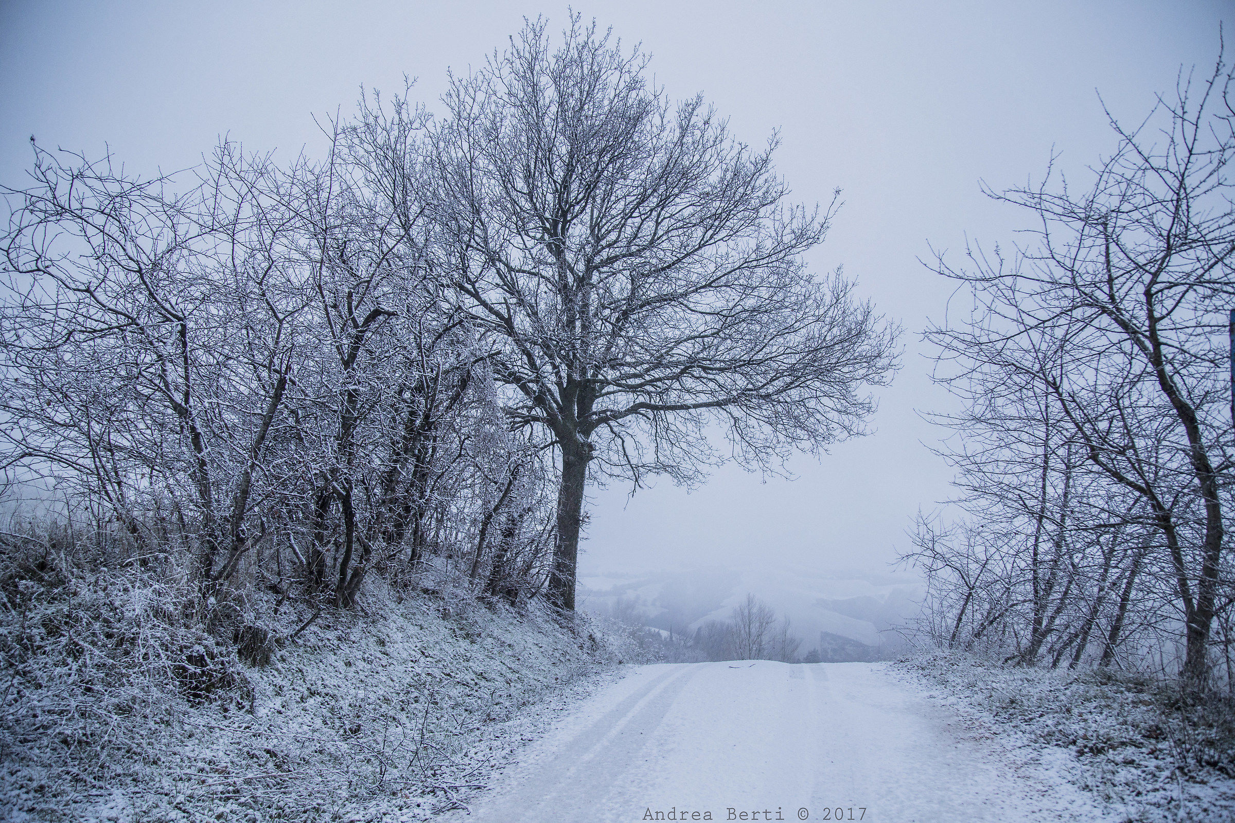 Moments of mysticism, Urbino