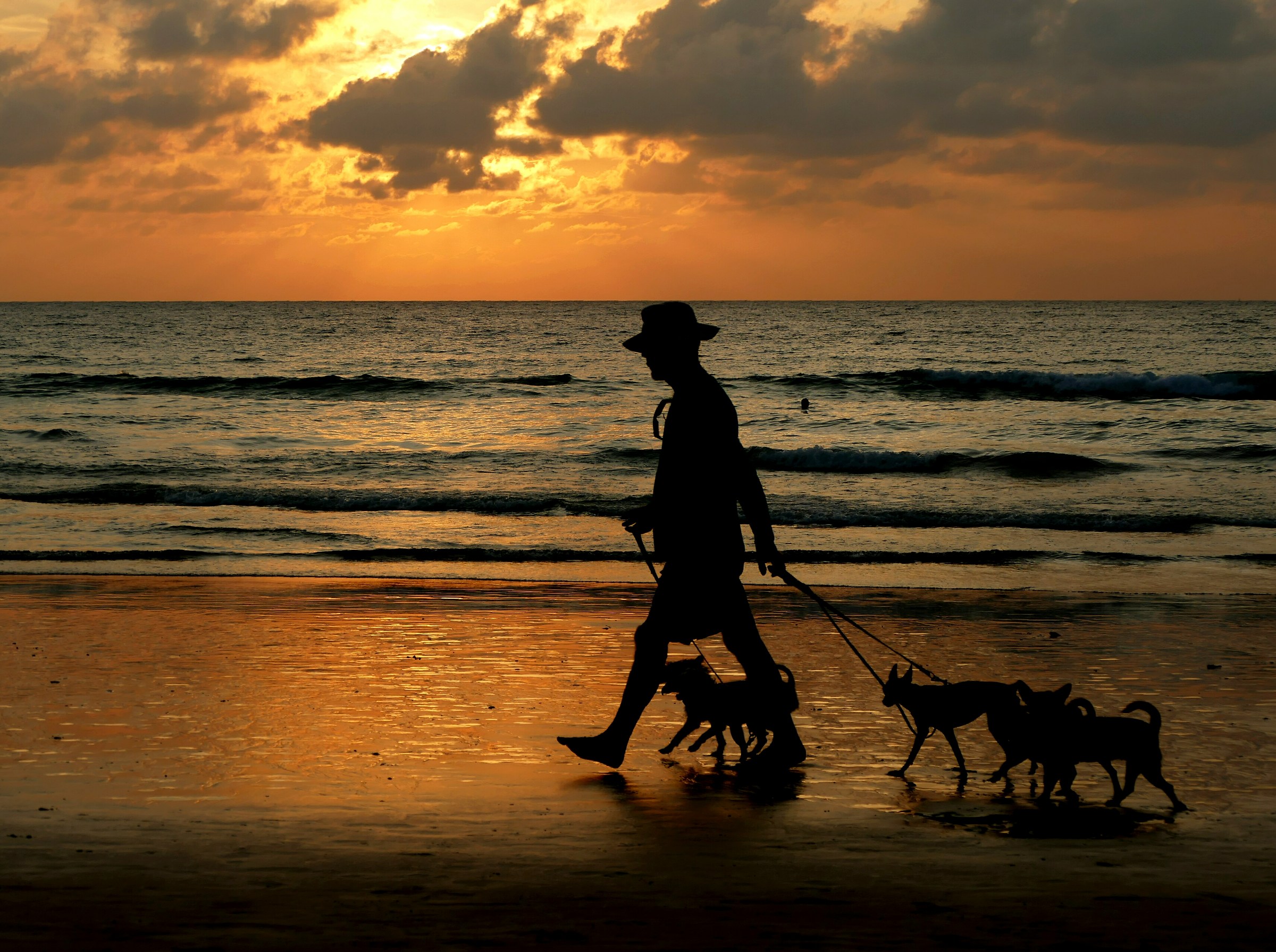IL Tramonto del maschio Alpha