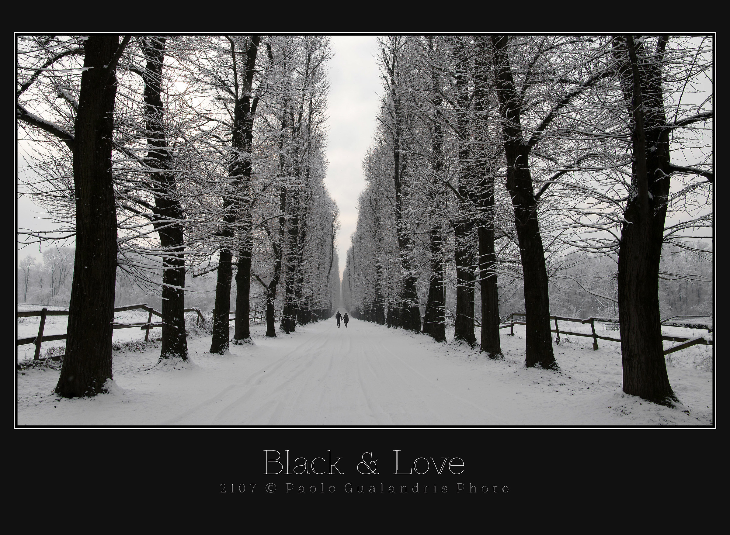 Black & Love