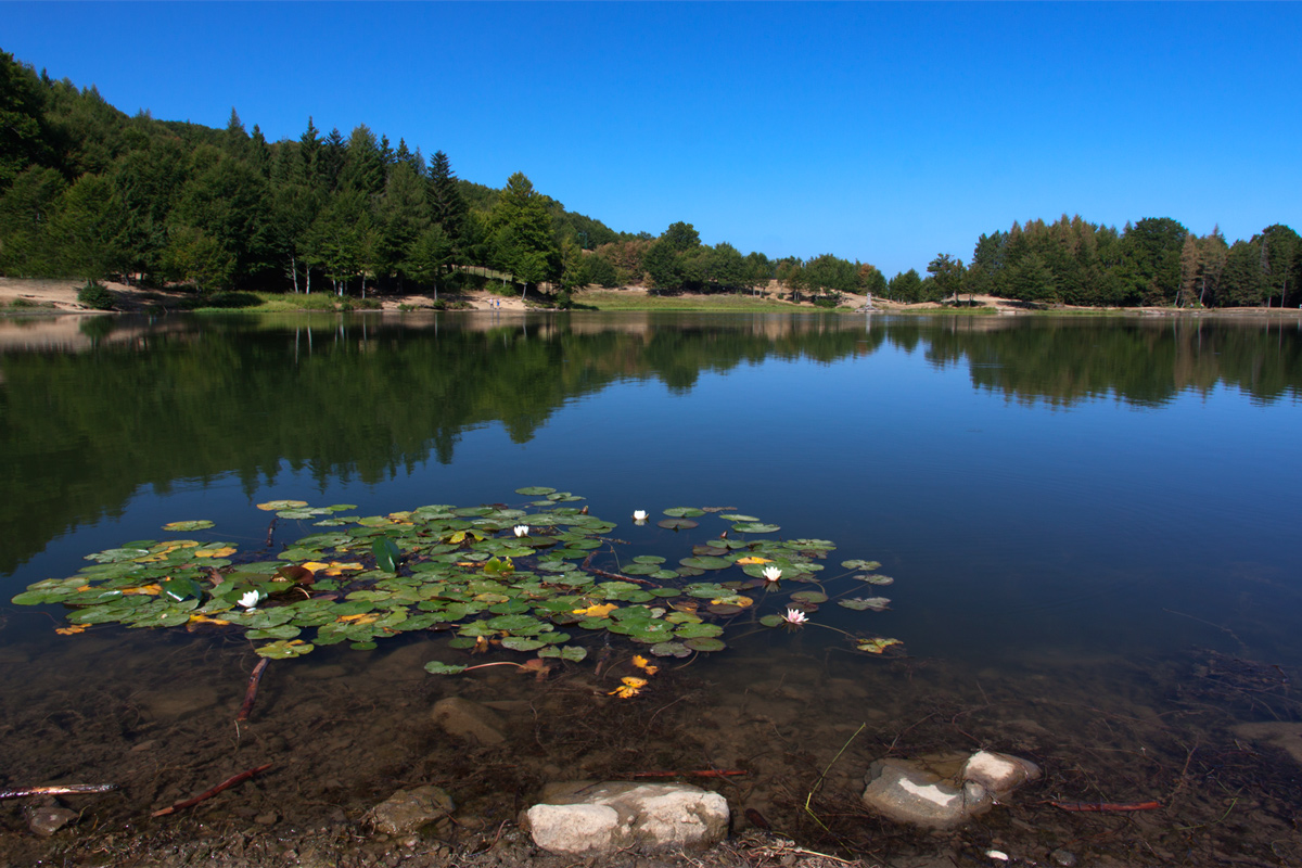 Lago Calamone (re)