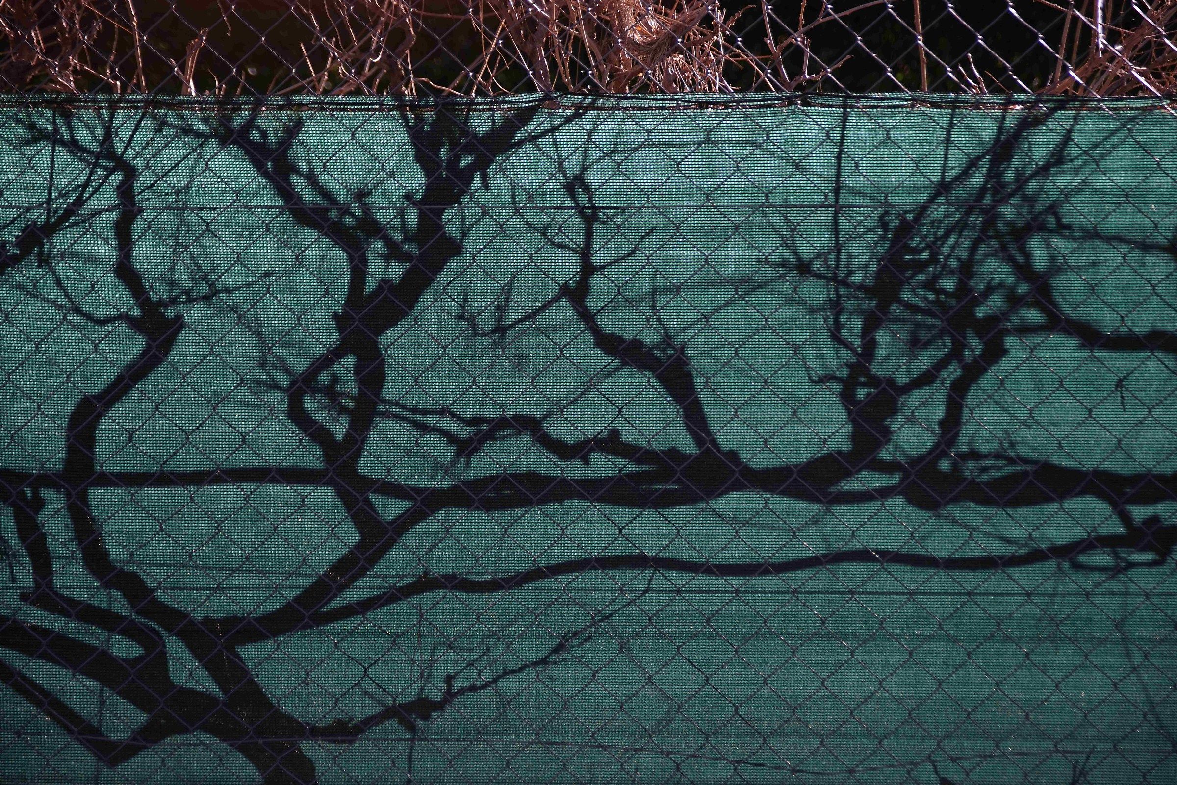 Shadows in the nets