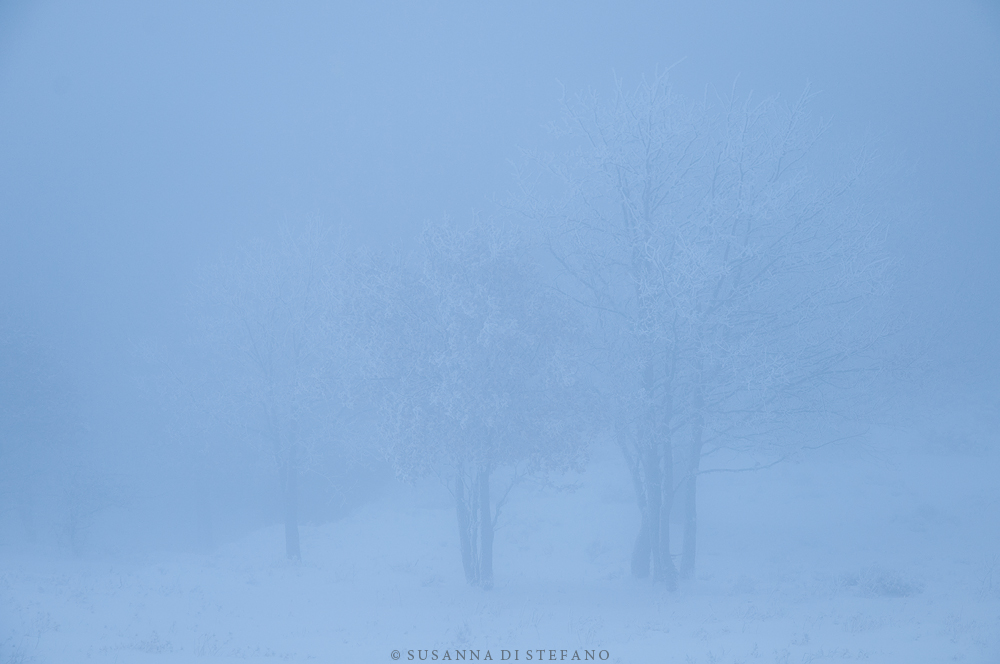 Timeless - Deep, heavy fog