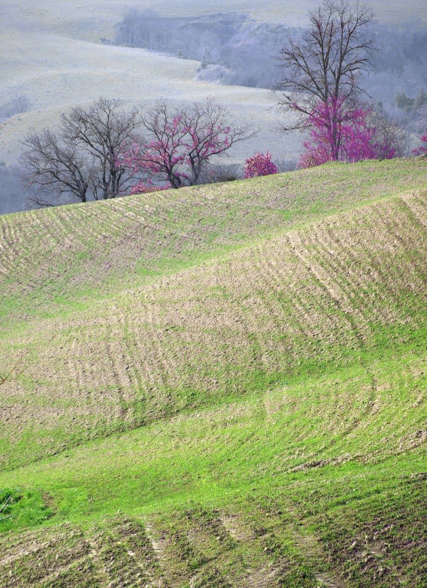 Cartoline dalla Val D'Orcia 1