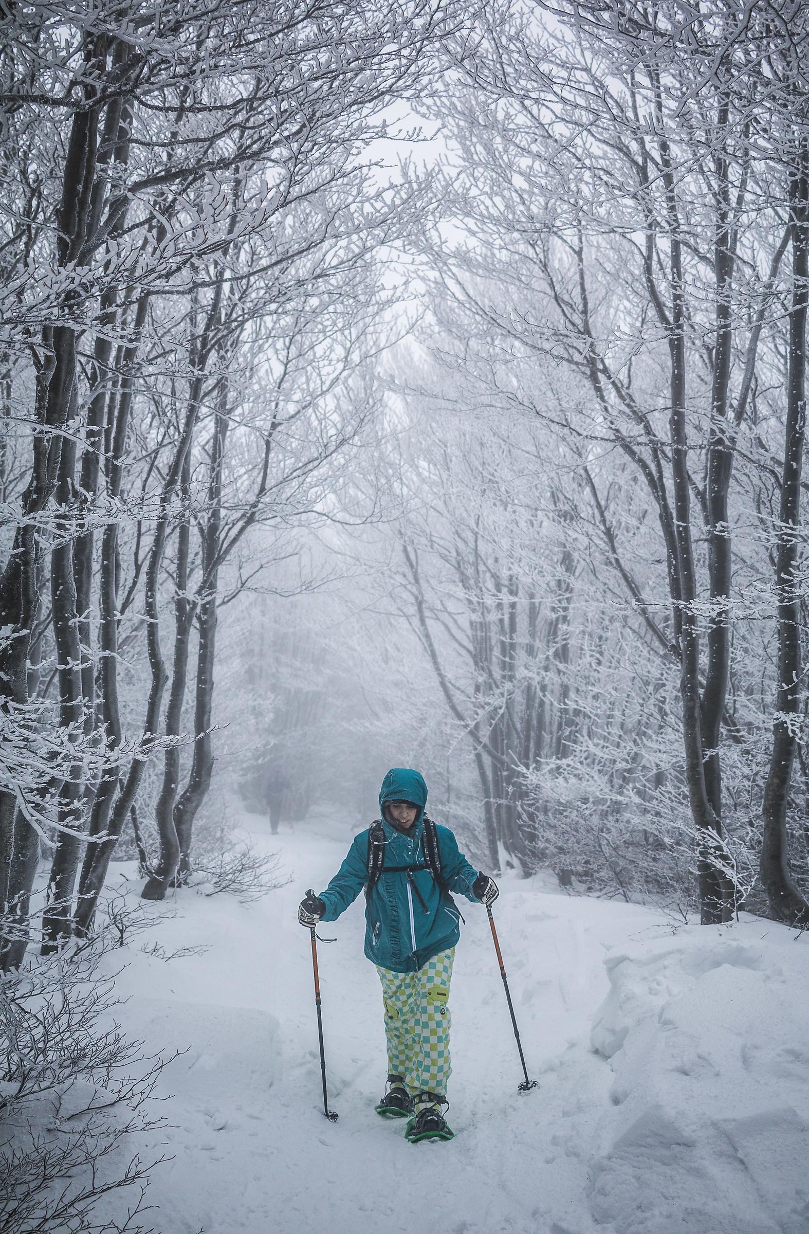 Ciaspolata in Campigna