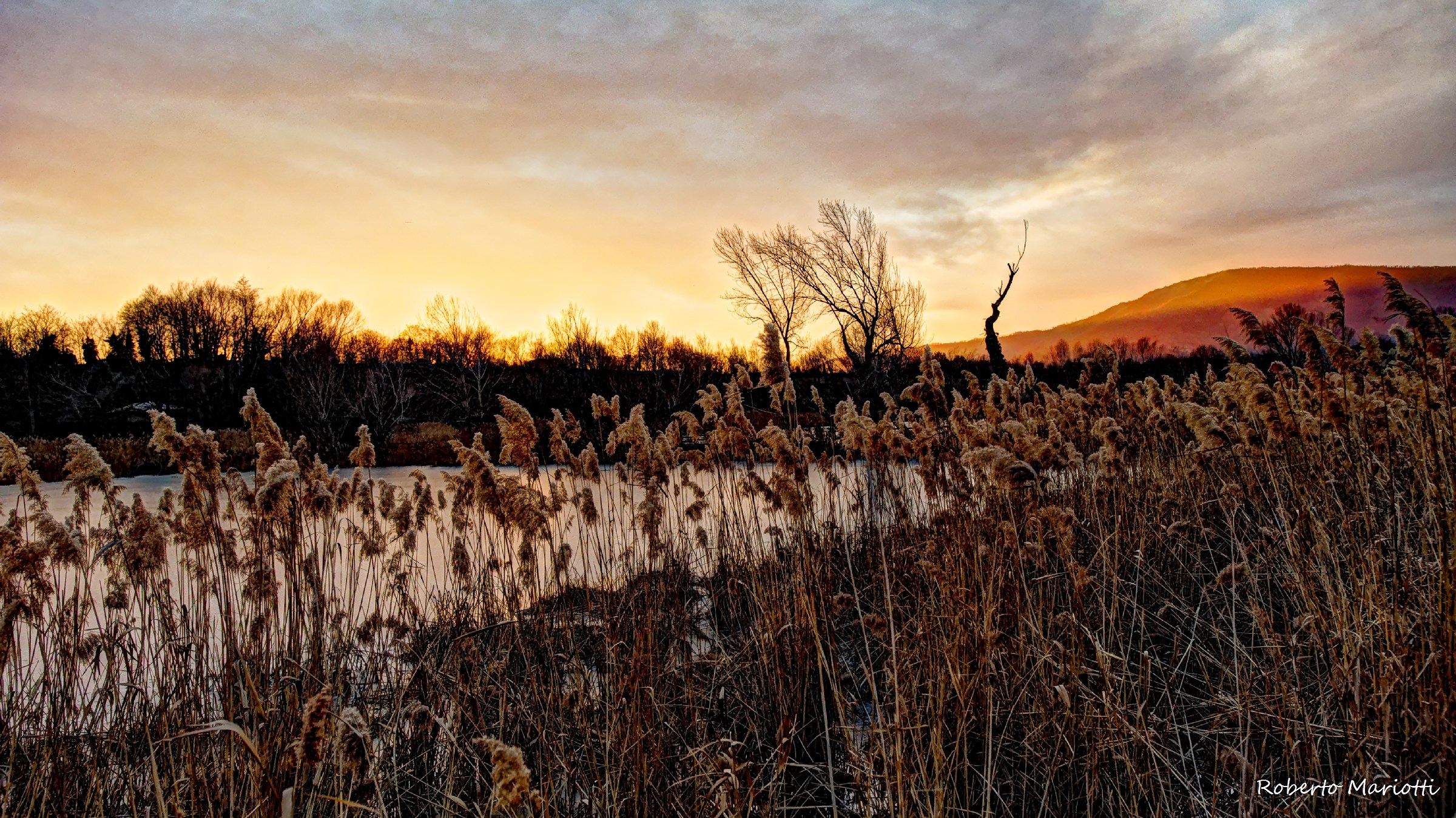 Torbiere d'Inverno - 2