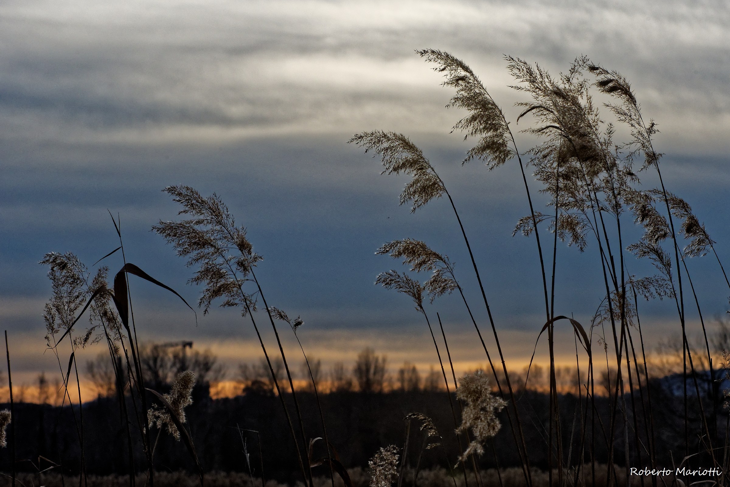 Torbiere d'Inverno - 3